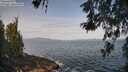 ./images/koeye/fitz-hugh/20260519/fitz-hugh20260519_092501M.jpg