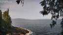 ./images/koeye/fitz-hugh/20260519/fitz-hugh20260519_094501M.jpg
