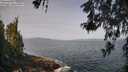 ./images/koeye/fitz-hugh/20260519/fitz-hugh20260519_095001M.jpg