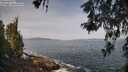 ./images/koeye/fitz-hugh/20260519/fitz-hugh20260519_100502M.jpg