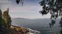 ./images/koeye/fitz-hugh/20260519/fitz-hugh20260519_101001M.jpg