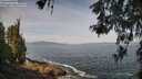 ./images/koeye/fitz-hugh/20260519/fitz-hugh20260519_102001M.jpg