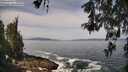 ./images/koeye/fitz-hugh/20260519/fitz-hugh20260519_110502M.jpg