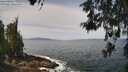 ./images/koeye/fitz-hugh/20260519/fitz-hugh20260519_113001M.jpg