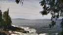 ./images/koeye/fitz-hugh/20260519/fitz-hugh20260519_115501M.jpg
