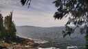 ./images/koeye/fitz-hugh/20260519/fitz-hugh20260519_120501M.jpg