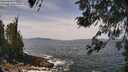 ./images/koeye/fitz-hugh/20260519/fitz-hugh20260519_121002M.jpg