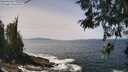 ./images/koeye/fitz-hugh/20260519/fitz-hugh20260519_124001M.jpg