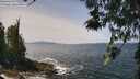 ./images/koeye/fitz-hugh/20260519/fitz-hugh20260519_124502M.jpg