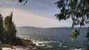 ./images/koeye/fitz-hugh/20260519/fitz-hugh20260519_125001M.jpg