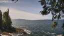 ./images/koeye/fitz-hugh/20260519/fitz-hugh20260519_125501M.jpg