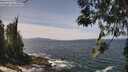 ./images/koeye/fitz-hugh/20260519/fitz-hugh20260519_130501M.jpg