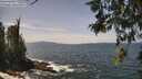 ./images/koeye/fitz-hugh/20260519/fitz-hugh20260519_132001M.jpg