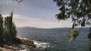 ./images/koeye/fitz-hugh/20260519/fitz-hugh20260519_132501M.jpg