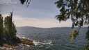 ./images/koeye/fitz-hugh/20260519/fitz-hugh20260519_133501M.jpg