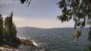 ./images/koeye/fitz-hugh/20260519/fitz-hugh20260519_134501M.jpg