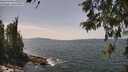./images/koeye/fitz-hugh/20260519/fitz-hugh20260519_135501M.jpg