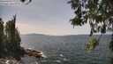 ./images/koeye/fitz-hugh/20260519/fitz-hugh20260519_140502M.jpg