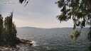 ./images/koeye/fitz-hugh/20260519/fitz-hugh20260519_141001M.jpg