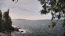 ./images/koeye/fitz-hugh/20260519/fitz-hugh20260519_142002M.jpg