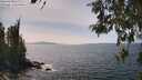 ./images/koeye/fitz-hugh/20260519/fitz-hugh20260519_145001M.jpg
