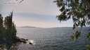 ./images/koeye/fitz-hugh/20260519/fitz-hugh20260519_145501M.jpg