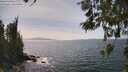 ./images/koeye/fitz-hugh/20260519/fitz-hugh20260519_151001M.jpg