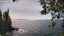 ./images/koeye/fitz-hugh/20260519/fitz-hugh20260519_151501M.jpg