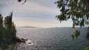 ./images/koeye/fitz-hugh/20260519/fitz-hugh20260519_152001M.jpg