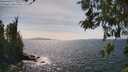 ./images/koeye/fitz-hugh/20260519/fitz-hugh20260519_153501M.jpg