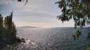 ./images/koeye/fitz-hugh/20260519/fitz-hugh20260519_154001M.jpg