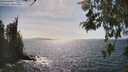 ./images/koeye/fitz-hugh/20260519/fitz-hugh20260519_161001M.jpg