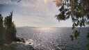 ./images/koeye/fitz-hugh/20260519/fitz-hugh20260519_163001M.jpg