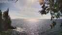./images/koeye/fitz-hugh/20260519/fitz-hugh20260519_164002M.jpg