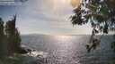 ./images/koeye/fitz-hugh/20260519/fitz-hugh20260519_165502M.jpg