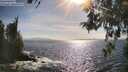 ./images/koeye/fitz-hugh/20260519/fitz-hugh20260519_172001M.jpg