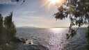 ./images/koeye/fitz-hugh/20260519/fitz-hugh20260519_173001M.jpg
