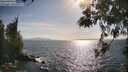 ./images/koeye/fitz-hugh/20260519/fitz-hugh20260519_173501M.jpg