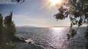 ./images/koeye/fitz-hugh/20260519/fitz-hugh20260519_174001M.jpg