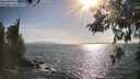 ./images/koeye/fitz-hugh/20260519/fitz-hugh20260519_174501M.jpg