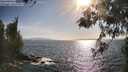 ./images/koeye/fitz-hugh/20260519/fitz-hugh20260519_175001M.jpg