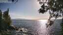 ./images/koeye/fitz-hugh/20260519/fitz-hugh20260519_175501M.jpg