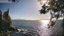 ./images/koeye/fitz-hugh/20260519/fitz-hugh20260519_180501M.jpg