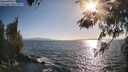 ./images/koeye/fitz-hugh/20260519/fitz-hugh20260519_182002M.jpg