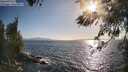 ./images/koeye/fitz-hugh/20260519/fitz-hugh20260519_182501M.jpg
