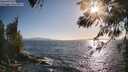 ./images/koeye/fitz-hugh/20260519/fitz-hugh20260519_183501M.jpg