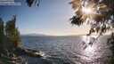 ./images/koeye/fitz-hugh/20260519/fitz-hugh20260519_185001M.jpg
