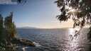 ./images/koeye/fitz-hugh/20260519/fitz-hugh20260519_190501M.jpg