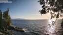 ./images/koeye/fitz-hugh/20260519/fitz-hugh20260519_191001M.jpg