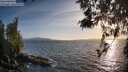 ./images/koeye/fitz-hugh/20260519/fitz-hugh20260519_193501M.jpg